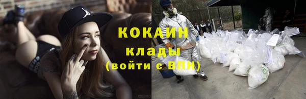гидра Богородицк