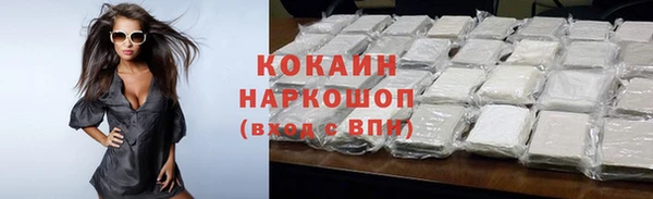 гидра Богородицк