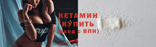 гидра Богородицк