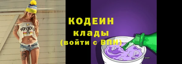 гидра Богородицк