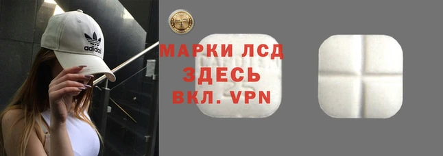 гидра Богородицк