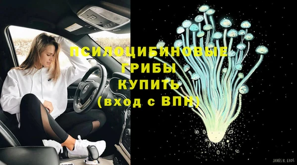 гидра Богородицк
