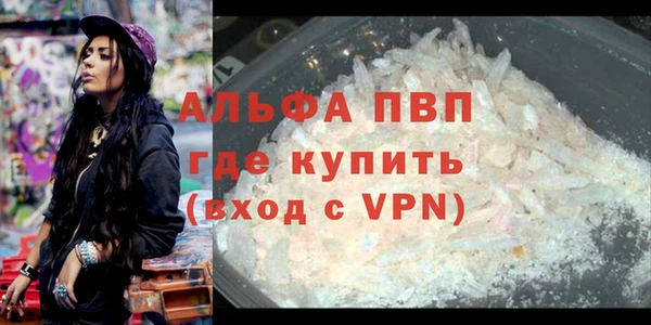 гидра Богородицк