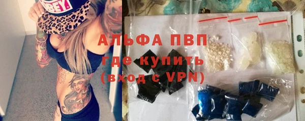 гидра Богородицк