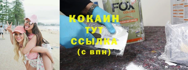 гидра Богородицк