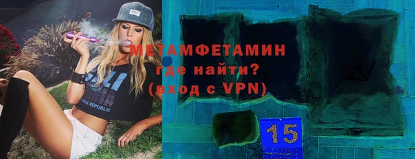 гидра Богородицк
