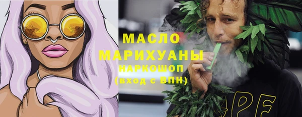 гидра Богородицк